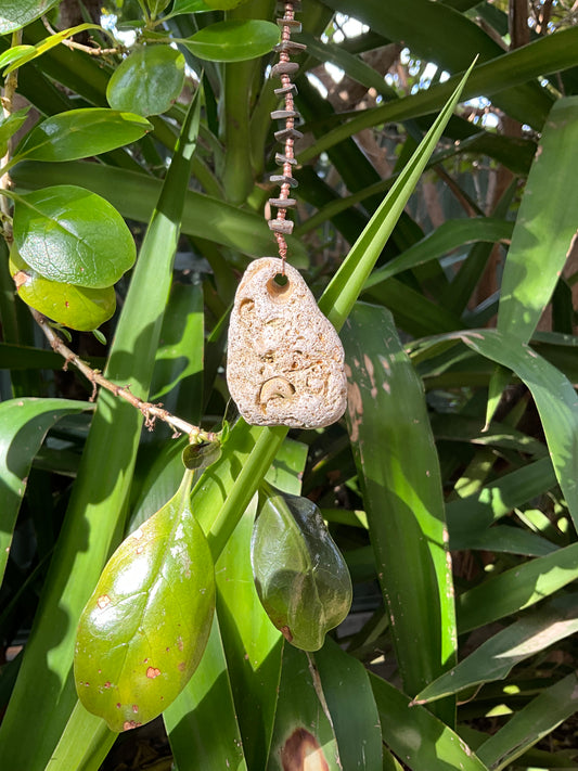 Hag stone And Abalone Shell Protection Talisman