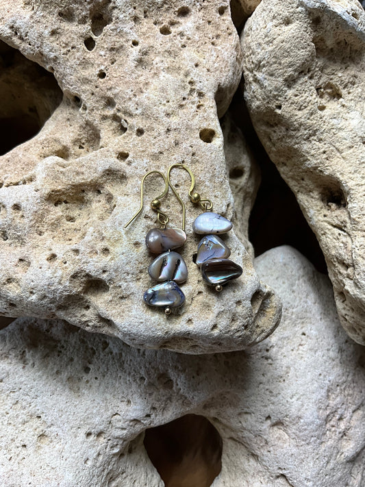 Abalone And Brass Healing Earrings