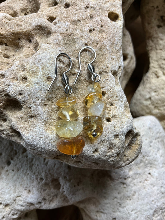 Citrine And Stainless Steel Healing Earrings