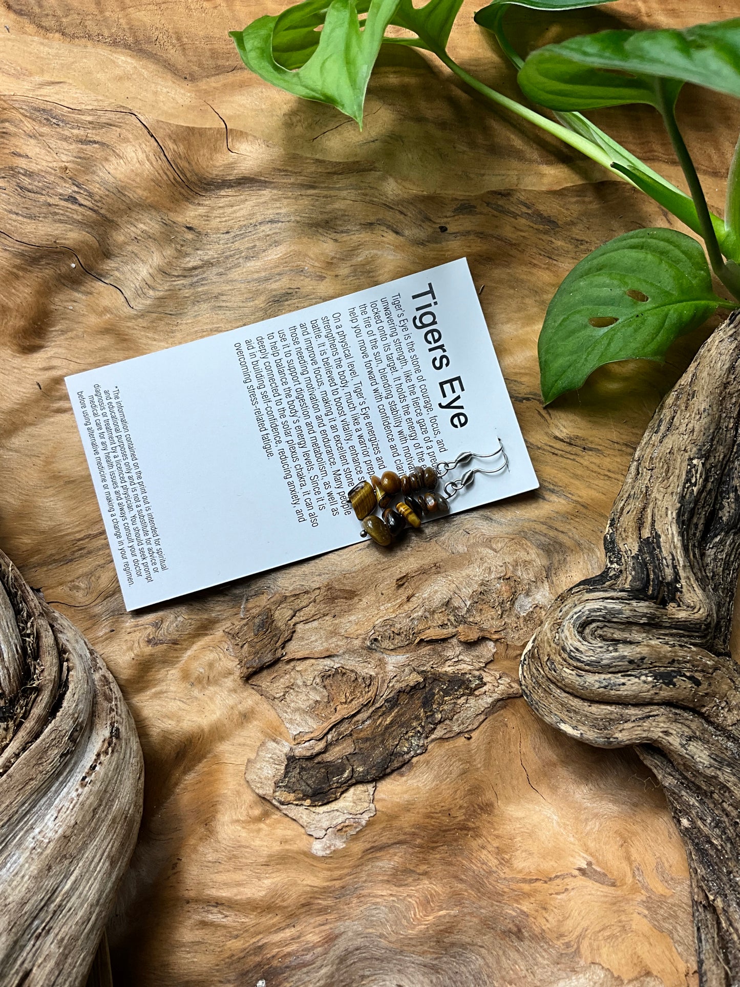Tigers Eye And Stainless Steel Healing Earrings