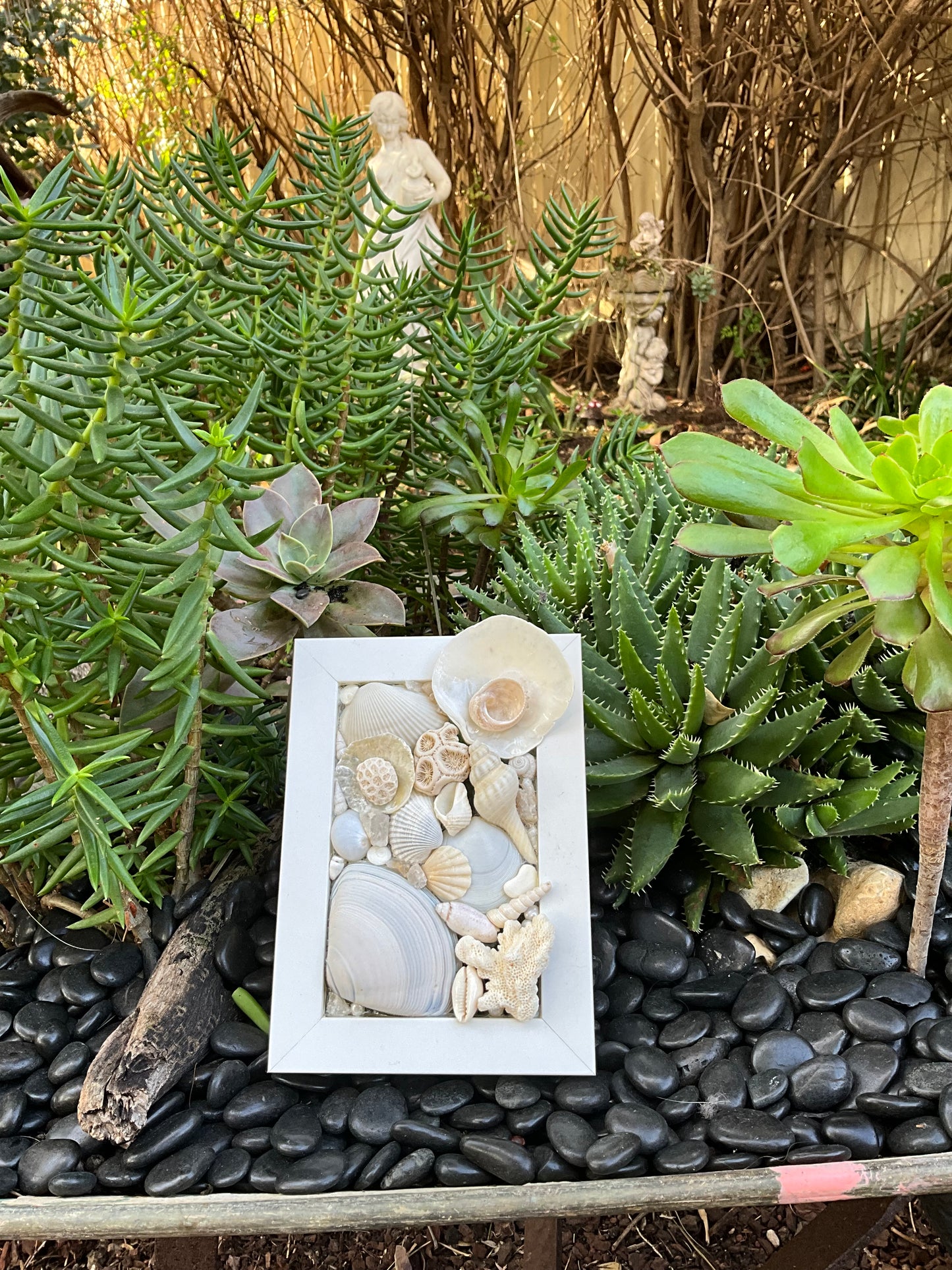 Ocean Treasure Picture Frame Decor