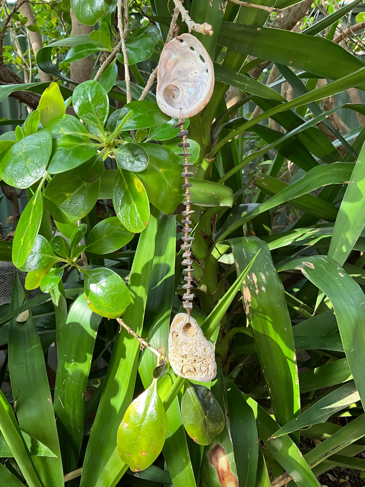 Hag stone And Abalone Shell Protection Talisman
