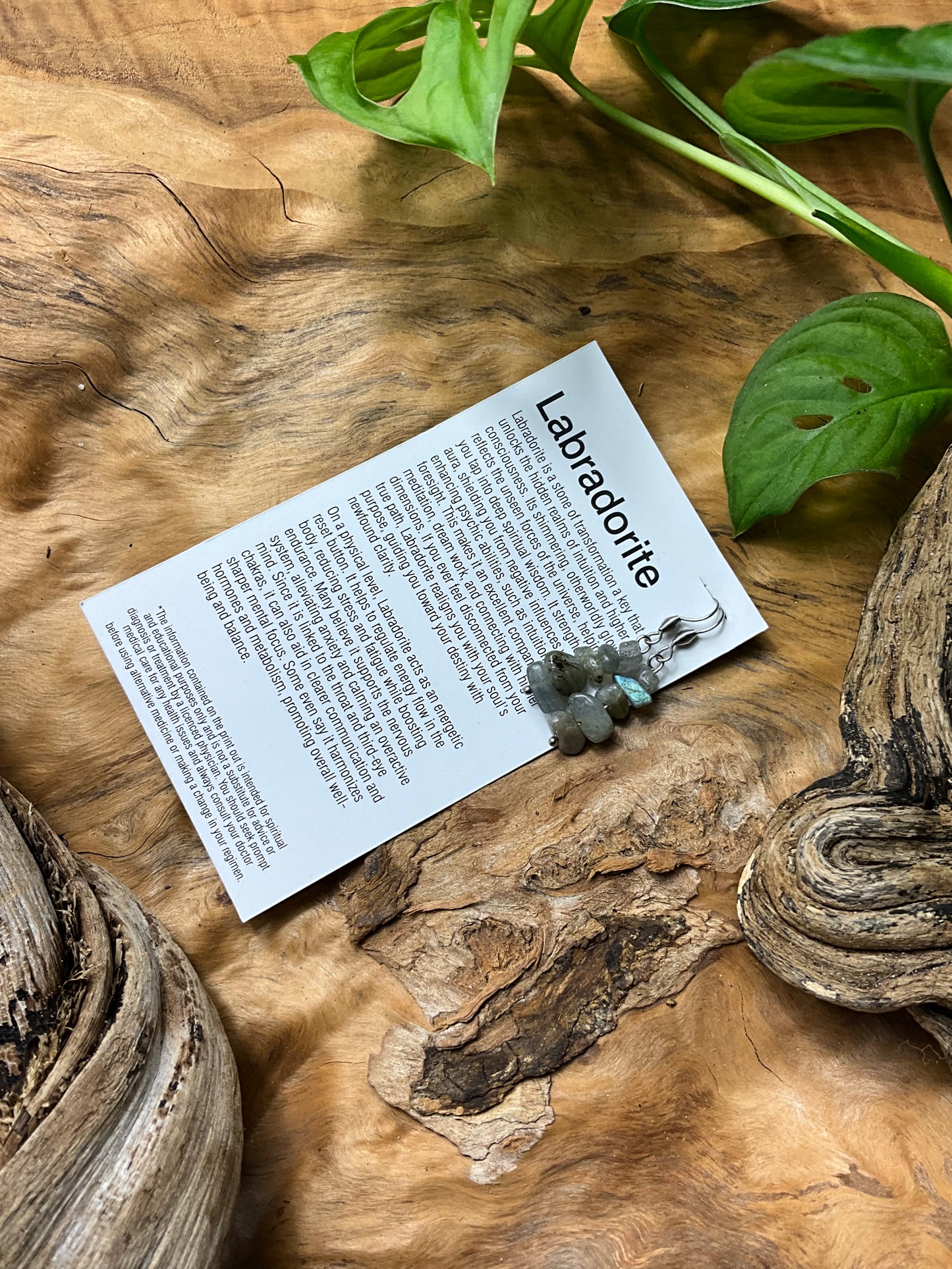 Labradorite And Stainless Steel Earings