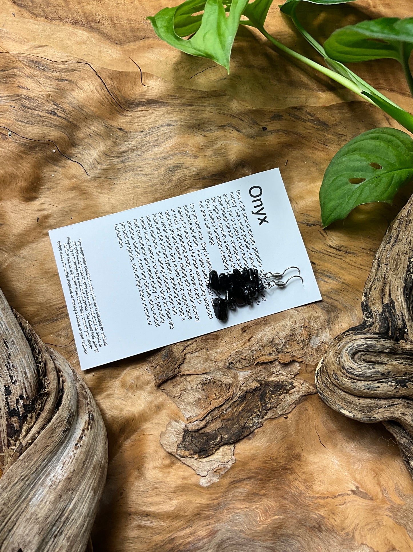 Onyx And Stainless Steel Healing Earrings
