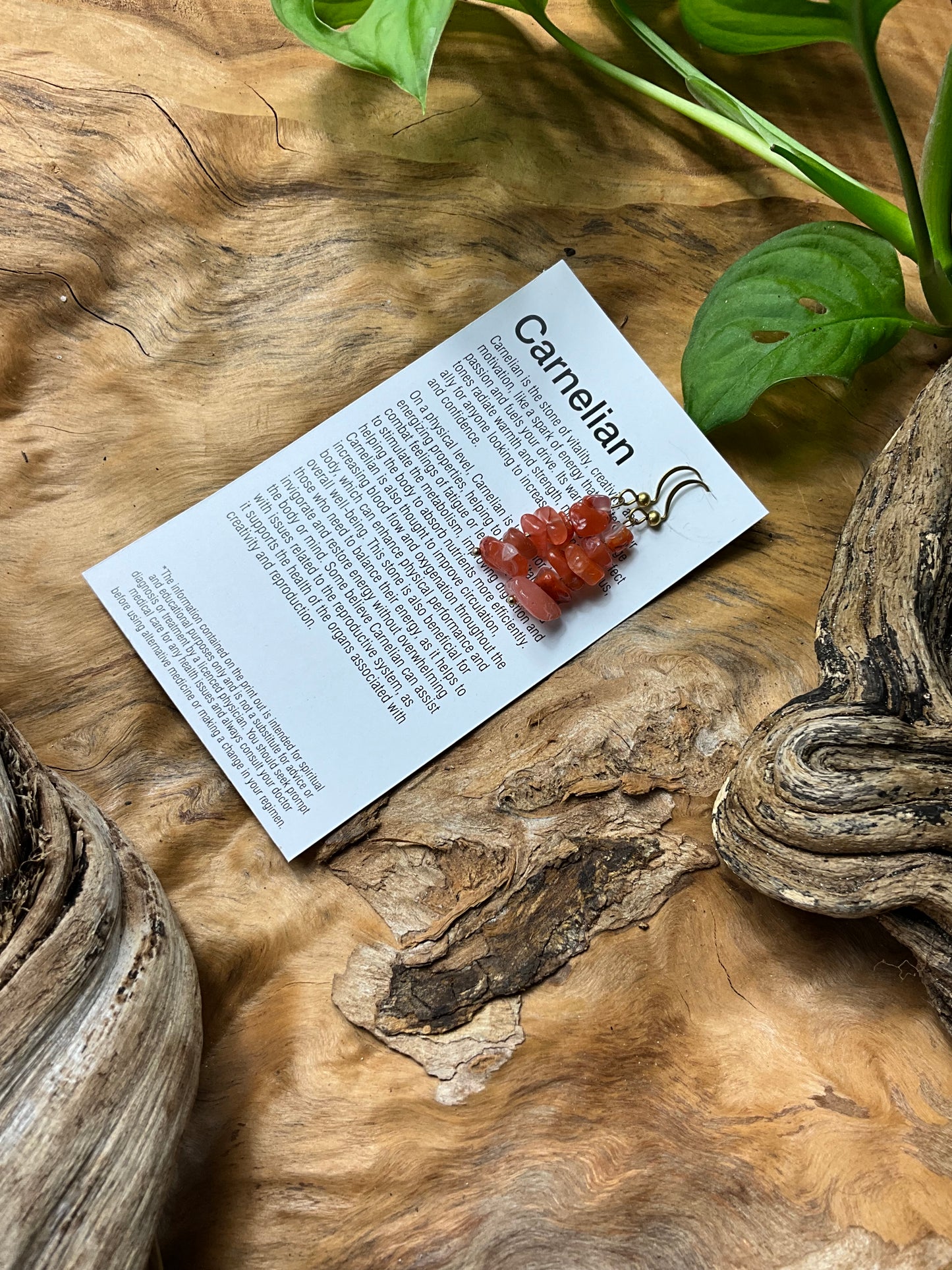 Carnelian And Brass Healing Earings