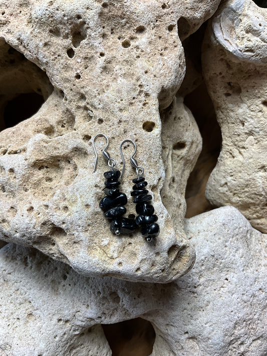 Onyx And Stainless Steel Healing Earrings