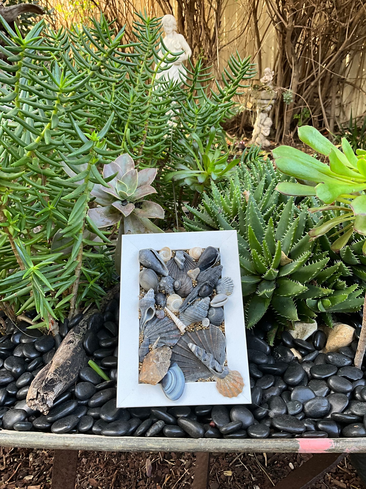Ocean Treasure Picture Frame Decor