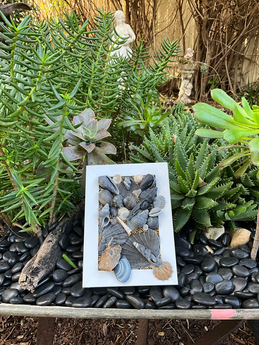 Ocean Treasure Picture Frame Decor