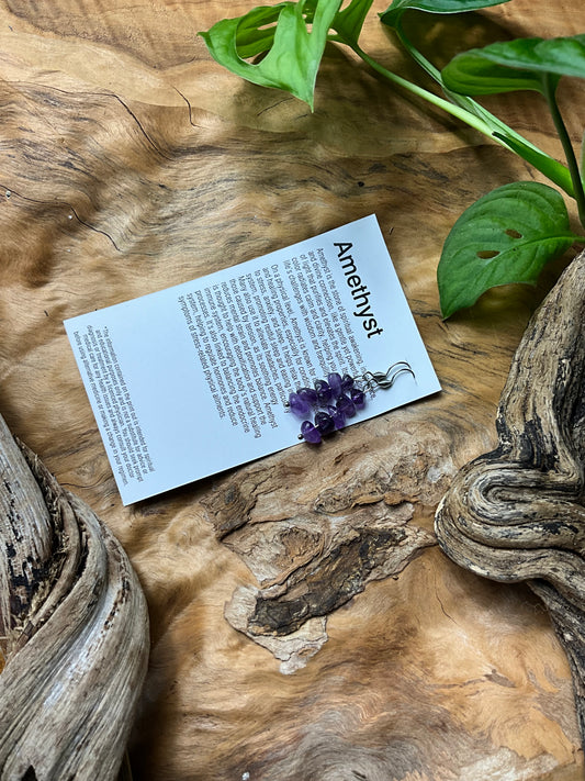 Amethyst And Stainless Steel Healing Earrings