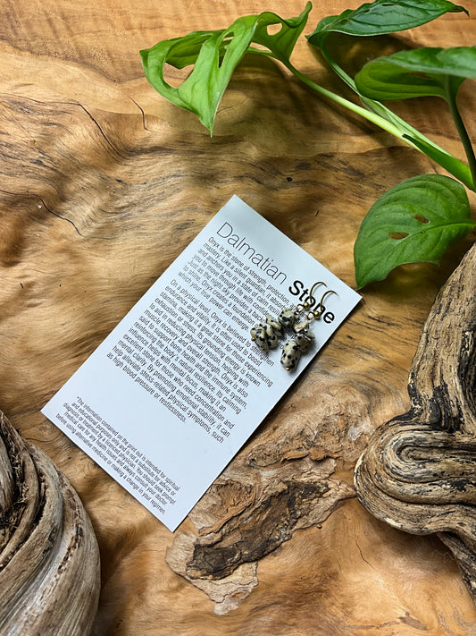 Dalmatian Stone And Brass Healing Earrings