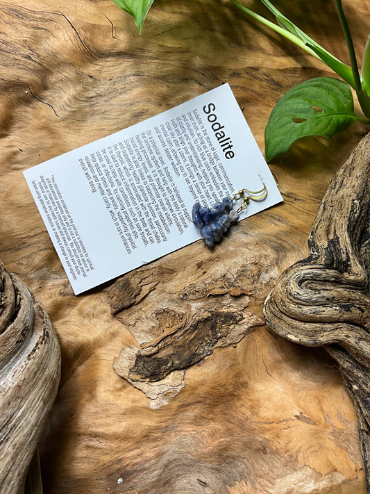 Sodalite And Brass Healing Earrings
