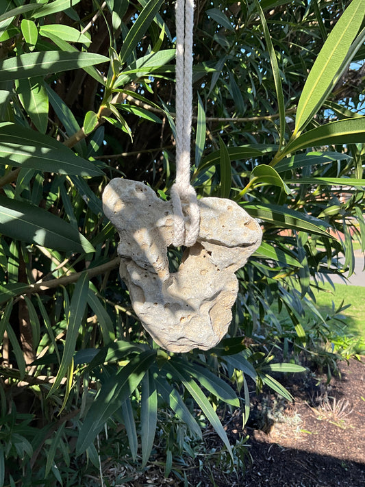 Hag stone