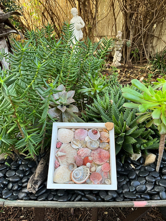 Ocean Treasure Picture Frame Decor