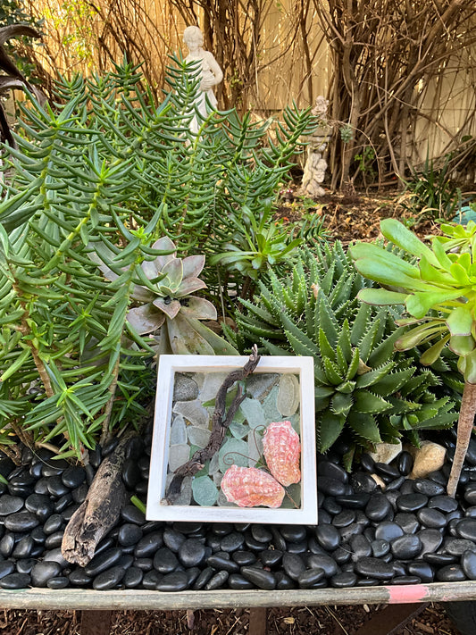Ocean Treasure Picture Frame Decor