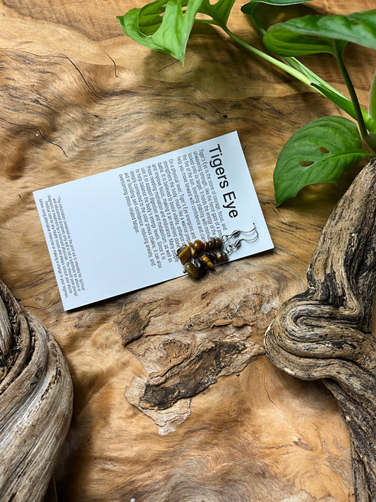 Tigers Eye And Stainless Steel Healing Earrings