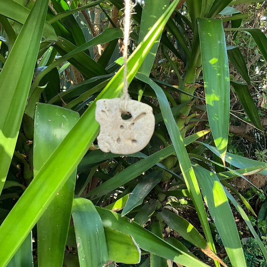 Hag Stone
