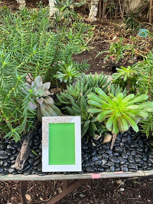 Ocean Treasures Picture Frame