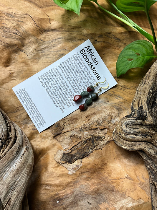 African Blood Stone And Brass Healing Earrings