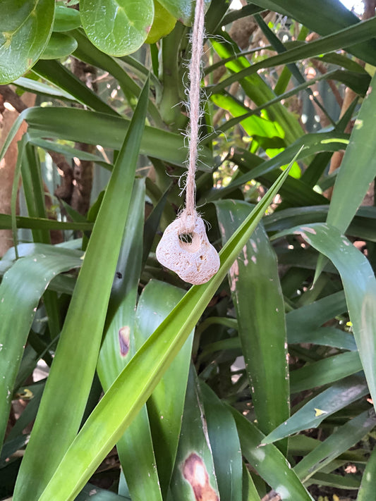 Hag Stone