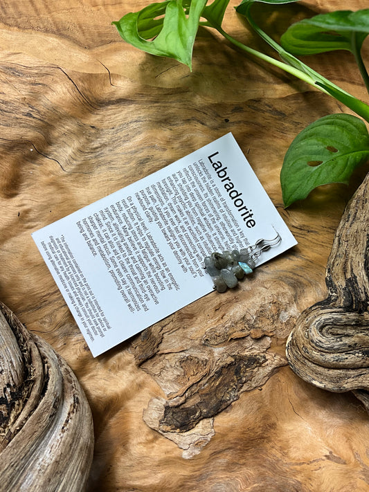 Labradorite And Stainless Steel Earings