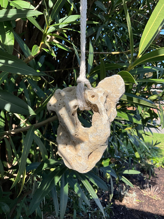 Hag stone