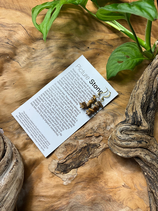 Picture Stone and Brass Healing Earings