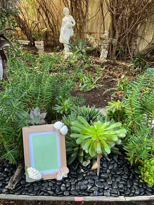 Ocean Treasures Picture Frame