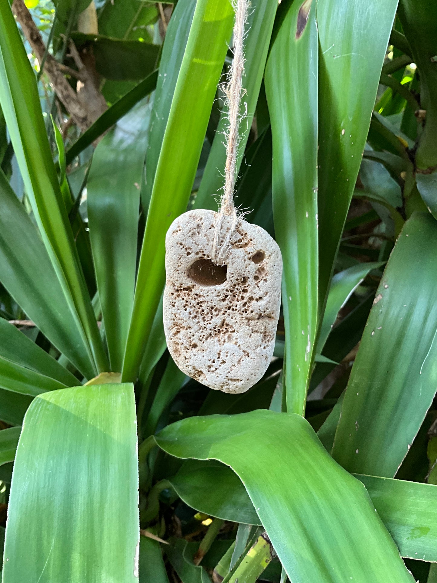 Hag Stone