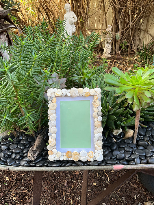 Ocean Treasures Picture Frame